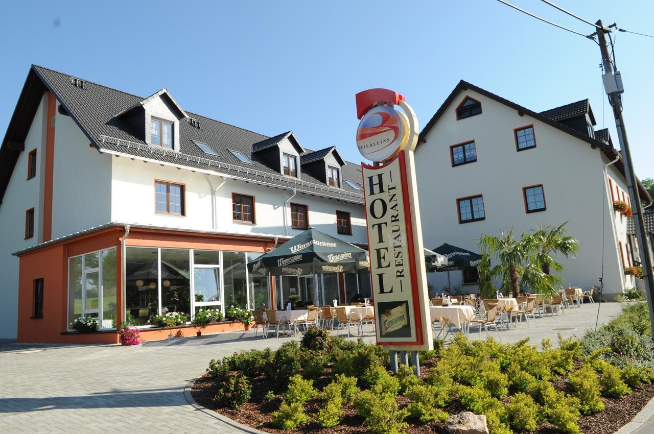Beierleins Hotel & Catering Gmbh Reichenbach  Extérieur photo